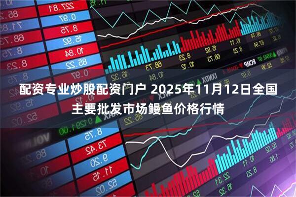 配资专业炒股配资门户 2025年11月12日全国主要批发市场鳗鱼价格行情
