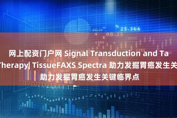 网上配资门户网 Signal Transduction and Targeted Therapy| TissueFAXS Spectra 助力发掘胃癌发生关键临界点
